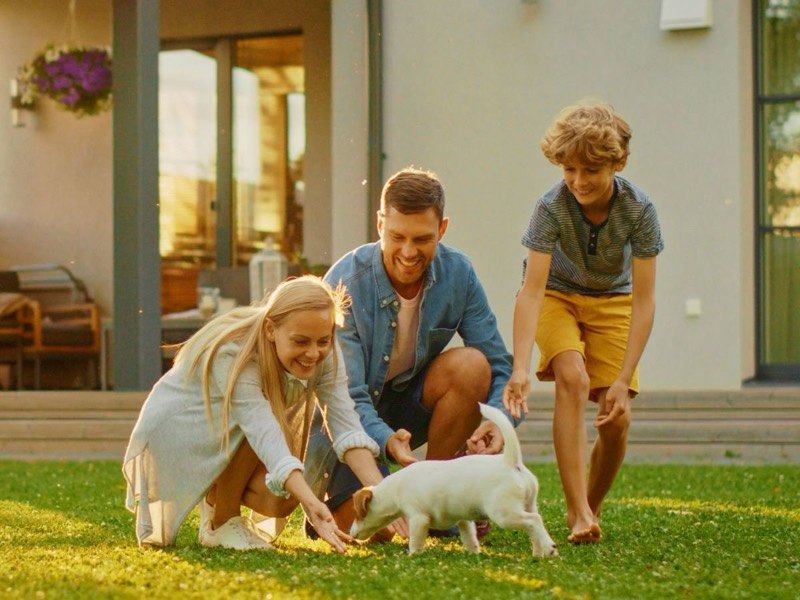Family playing with their dog on the lawn